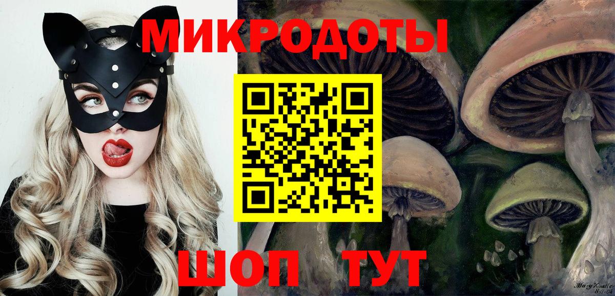 Псилоцибиновые грибы прущие грибы Павловский Посад