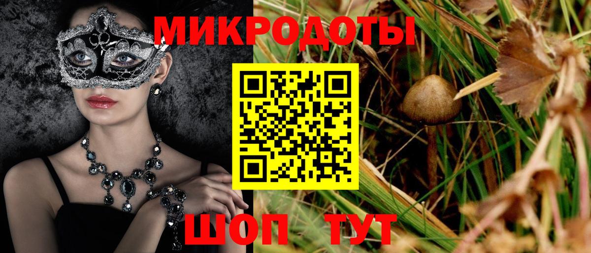 Галлюциногенные грибы Psilocybe  Псилоцибиновые грибы GOLDEN TEACHER  Вход с VPN  Павловский Посад 
